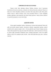 Verslininkystės pagrindų savarankiškas namų darbas 8 puslapis