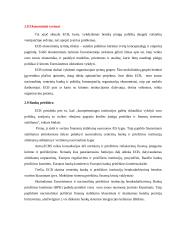 Europos Centrinio banko veikla – AB „Lietuvos dujos“ 13 puslapis