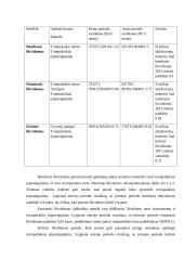 Europos Centrinio banko veikla – AB „Lietuvos dujos“ 19 puslapis