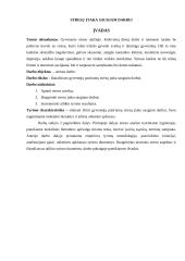 Stresų įtaka saugiam darbui 3 puslapis