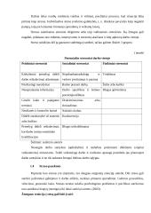 Stresų įtaka saugiam darbui 5 puslapis