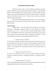Neverbalinis bendravimo aspektas 5 puslapis