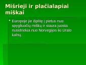Vidutinių platumų augalija 2 puslapis