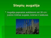 Vidutinių platumų augalija 12 puslapis