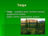 Vidutinių platumų augalija 3 puslapis