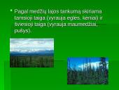 Vidutinių platumų augalija 6 puslapis