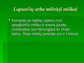 Vidutinių platumų augalija 7 puslapis