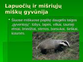 Vidutinių platumų augalija 9 puslapis