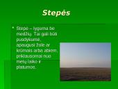 Vidutinių platumų augalija 10 puslapis