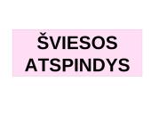 Šviesos sklidimas skaidrės 11 puslapis