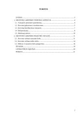 Krovinio vežimo maršrutų Šeduva – Oldenburgas parinkimas 2 puslapis