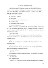 Krovinio vežimo maršrutų Šeduva – Oldenburgas parinkimas 14 puslapis