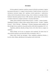 Krovinio vežimo maršrutų Šeduva – Oldenburgas parinkimas 19 puslapis