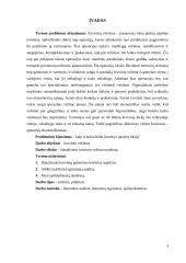 Krovinio vežimo maršrutų Šeduva – Oldenburgas parinkimas 3 puslapis