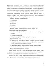 Krovinio vežimo maršrutų Šeduva – Oldenburgas parinkimas 6 puslapis