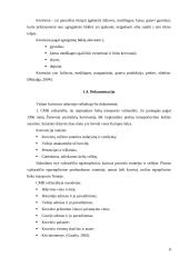 Krovinio vežimo maršrutų Šeduva – Oldenburgas parinkimas 8 puslapis