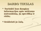 Nėštumo nutraukimas 2 puslapis