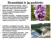 Lietuvos saugomos teritorijos skaidrės 4 puslapis