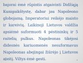 Prancūzmetis Lietuvoje skaidrės 13 puslapis