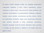 Prancūzmetis Lietuvoje skaidrės 15 puslapis