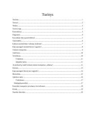 Studentų transportas 2 puslapis