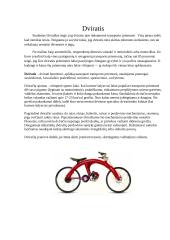 Studentų transportas 13 puslapis