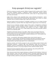 Studentų transportas 14 puslapis