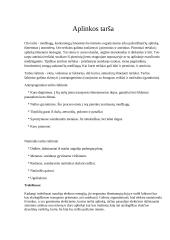 Studentų transportas 16 puslapis