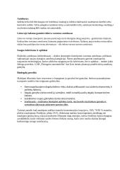 Studentų transportas 17 puslapis