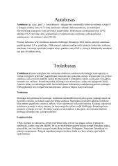 Studentų transportas 10 puslapis