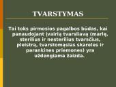 Tvarstymas ir jo principai 2 puslapis