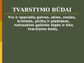 Tvarstymas ir jo principai 14 puslapis