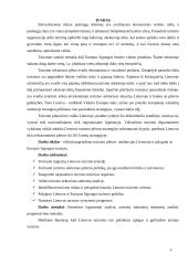 Europos Sąjungos studijų pagrindų savarankiškas darbas 3 puslapis