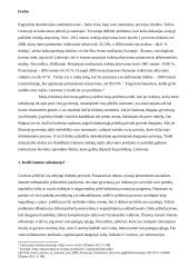 Sprendžiant rinkėjų pasyvumo problemą: išeitis-privalomasis balsavimas?