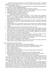 Seksualinis smurtas prieš vaikus. Priežastys ir pasekmės. 3 puslapis