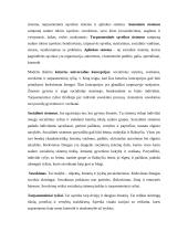 Imogene King – tikslo pasiekimo teorija 4 puslapis