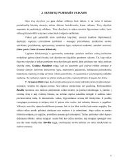 Tėvų skyrybų pasekmės vaikams ir jų ateičiai 5 puslapis