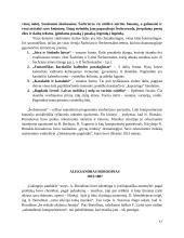 Rusai, romantizmas 17 puslapis