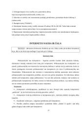 Vartotojui apie internetą 13 puslapis