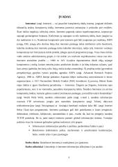 Vartotojui apie internetą 3 puslapis