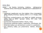 Verbalinė komunikacija. Derybiniai įgūdžiai 3 puslapis