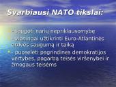 NATO skaidrės 13 puslapis