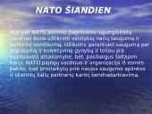NATO skaidrės 15 puslapis