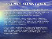 NATO skaidrės 19 puslapis