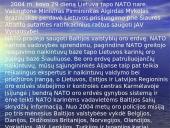 NATO skaidrės 20 puslapis