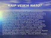NATO skaidrės 7 puslapis