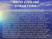 NATO skaidrės 8 puslapis