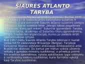 NATO skaidrės 10 puslapis