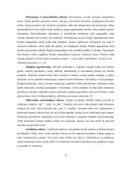 Įmonės "Ryšiai" socialiai atsakinga veikla 14 puslapis