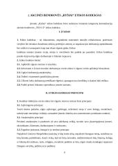 Įmonės "Ryšiai" socialiai atsakinga veikla 8 puslapis